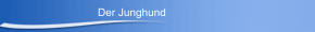 Der Junghund