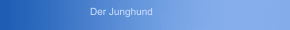 Der Junghund